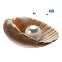 a pearl in and shell
